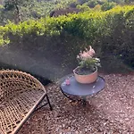 Kleines Harz-chalet * Neuwerk