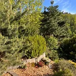 Nyaraló Kleines Harz-chalet *