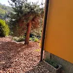 Nyaraló Kleines Harz-chalet *