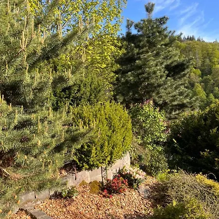 בית נופש Kleines Harz-chalet *