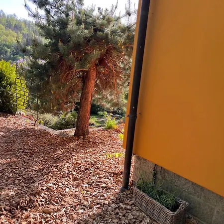 בית נופש Kleines Harz-chalet *