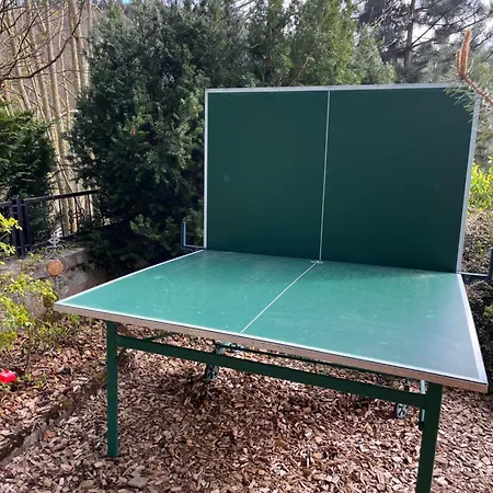 Σπίτι διακοπών Kleines Harz-chalet