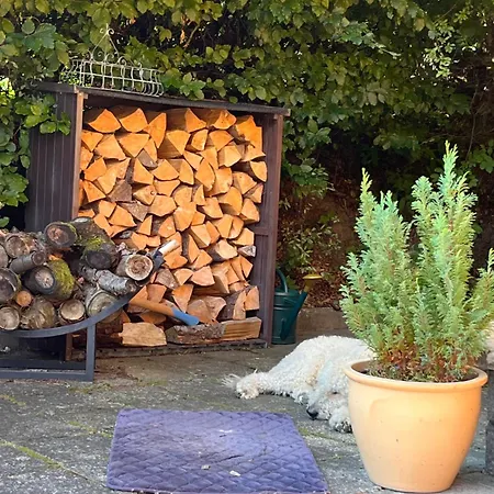 Σπίτι διακοπών Kleines Harz-chalet