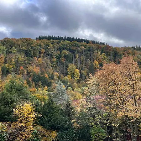 Kleines Harz-chalet * Neuwerk (Saxony-Anhalt)