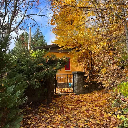 別荘 Kleines Harz-chalet