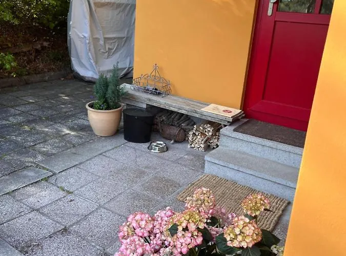 Kleines Harz-chalet *