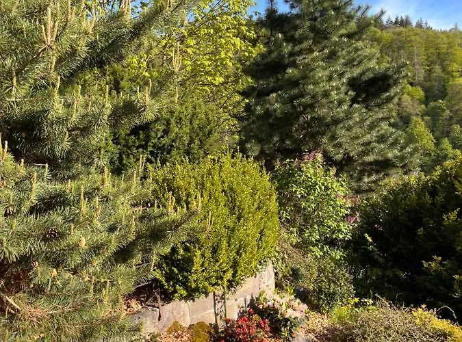 Nyaraló Kleines Harz-chalet *