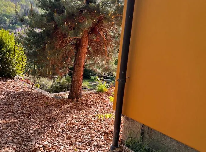 Holiday home Kleines Harz-chalet *