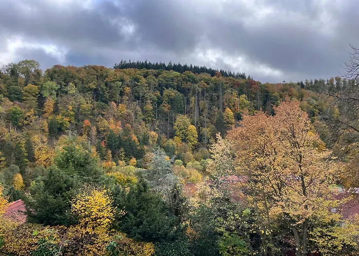 Kleines Harz-chalet * Neuwerk