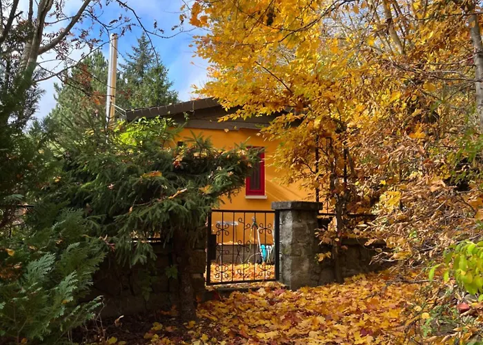 Nyaraló Kleines Harz-chalet